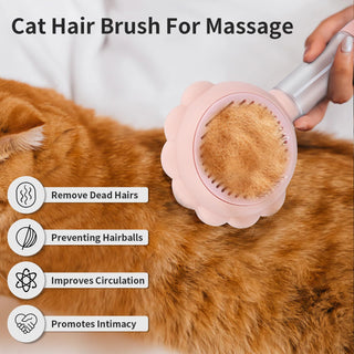 Spray Cat Brushes