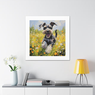 Joyful Miniature Schnauzer Print