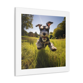 Joyful Schnauzer Haven print.