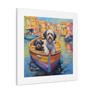 Fauvist Havana Pup Playtime