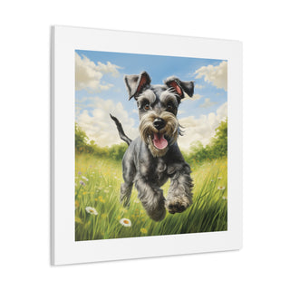 "Joyful Miniature Schnauzer Pasture"