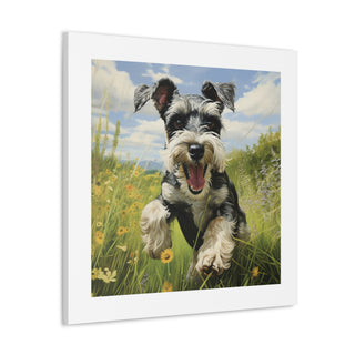 Joyful Schnauzer Pasture Print