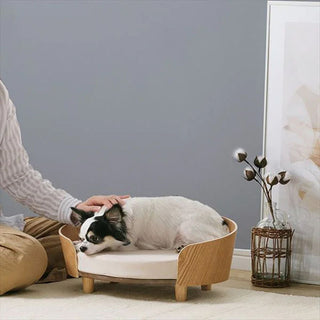 Teddy Pet Sofa Bed