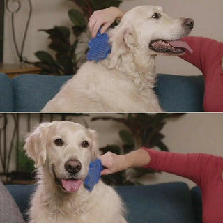 Gentle Pet Grooming Brush