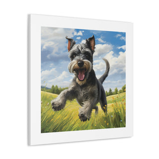 Cheerful Schnauzer Meadow Print