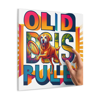 "Golden Age Activities: Celebrating How 'Old Dogs Rule'"

[Image: A photo of an old golden retriever wearing a baseball cap and chasing after a tennis ball, with the words "Old Dogs Rule" written in bold letters above.]- Canvas