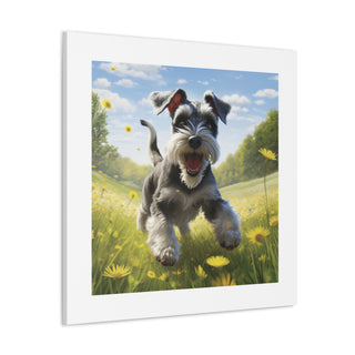 Joyful Schnauzer Pasture Canvas