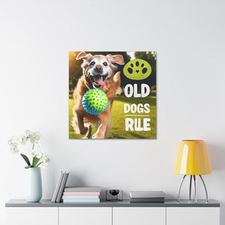 "Age Ain't Nothin' But a Number: Celebrating the Wisdom and Youthfulness of Old Dogs" 

[Image of an old dog wearing a cap and holding a Frisbee, with a group of young dogs running and playing in the background]- Canvas