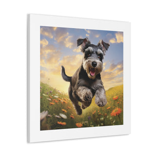 "Vivid Schnauzer Frolicking Pasture"