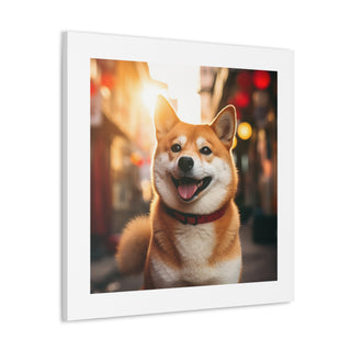 Shiba Smile Sunrise Splendor.