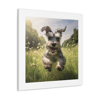 "Mini Schnauzer Joyful Pasture"