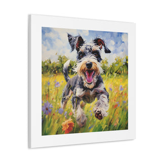 Joyful Mini-Schnauzer Canvas Print