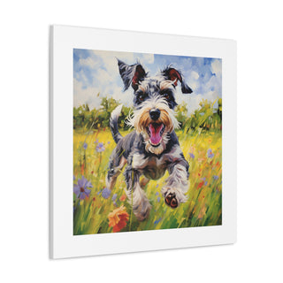 Joyful Mini-Schnauzer Canvas Print