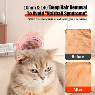 Spray Cat Brushes