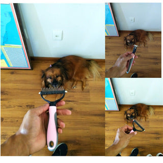 Grooming Brush For Pet Dog