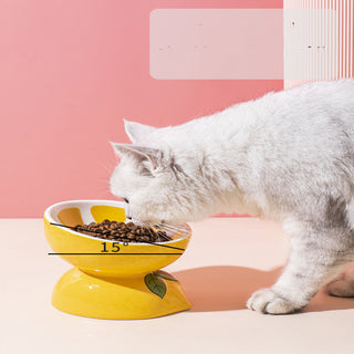 Cat Bowl