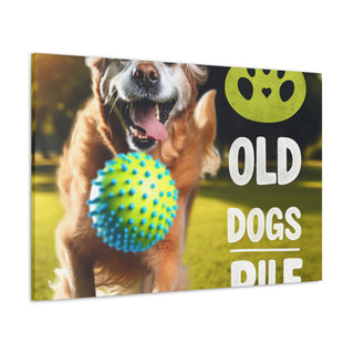 "Age Ain't Nothin' But a Number: Celebrating the Wisdom and Youthfulness of Old Dogs" 

[Image of an old dog wearing a cap and holding a Frisbee, with a group of young dogs running and playing in the background]- Canvas