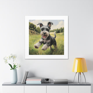 Joyful Miniature Schnauzer Print