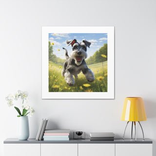 Joyful Schnauzer Pasture Canvas