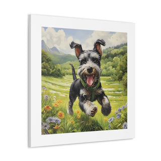 "Mini Schnauzer: Joyful Meadow"