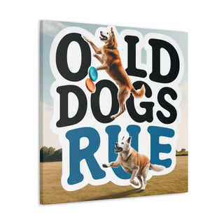 "Age is Just a Number: Celebrating the Reign of Old Dogs"

[Insert image of an old dog jumping for a frisbee or playing fetch]- Canvas