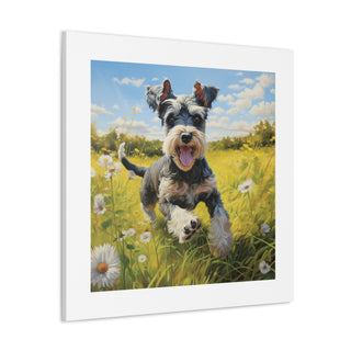 Joyful Mini Schnauzer Print