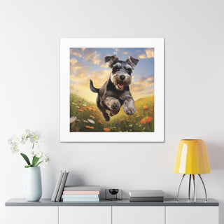 "Vivid Schnauzer Frolicking Pasture"