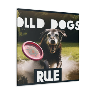 "Age is Just a Number: Embracing the Joys of Senior Dogs"- Canvas