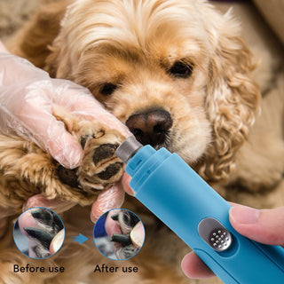 Pet Clippers Electric Grooming